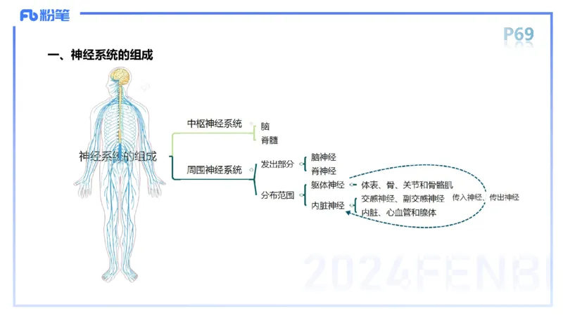 1.19-理论精讲-运动解剖学5-王传世+_4-教培资料-26年最新资料-同步更新_科一科二电子资料合集中小幼（笔记真题知识点汇总等）文件多，按需保存_各机构笔记合集（中小幼）推荐