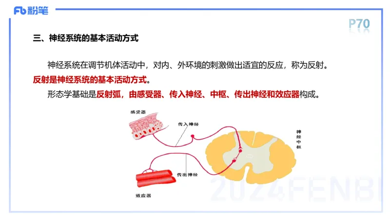 1.19-理论精讲-运动解剖学5-王传世+_4-教培资料-26年最新资料-同步更新_科一科二电子资料合集中小幼（笔记真题知识点汇总等）文件多，按需保存_各机构笔记合集（中小幼）推荐