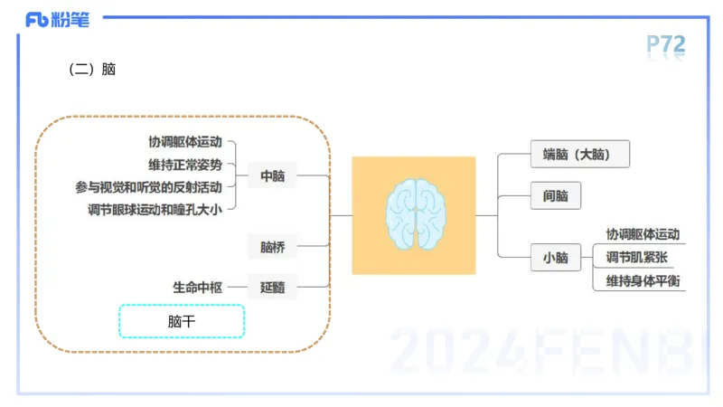 1.19-理论精讲-运动解剖学5-王传世+_4-教培资料-26年最新资料-同步更新_科一科二电子资料合集中小幼（笔记真题知识点汇总等）文件多，按需保存_各机构笔记合集（中小幼）推荐