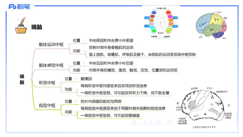 1.19-理论精讲-运动解剖学5-王传世+_4-教培资料-26年最新资料-同步更新_科一科二电子资料合集中小幼（笔记真题知识点汇总等）文件多，按需保存_各机构笔记合集（中小幼）推荐