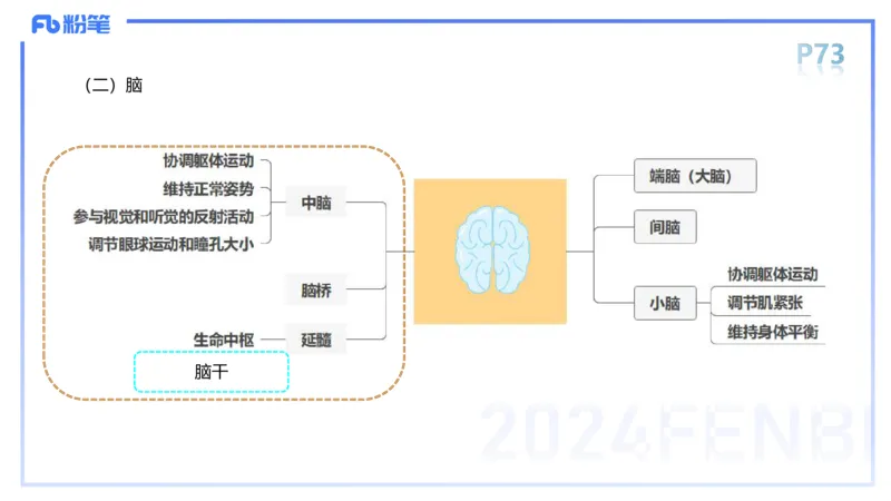 1.19-理论精讲-运动解剖学5-王传世+_4-教培资料-26年最新资料-同步更新_科一科二电子资料合集中小幼（笔记真题知识点汇总等）文件多，按需保存_各机构笔记合集（中小幼）推荐