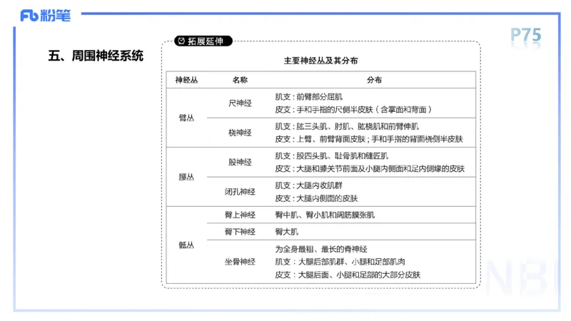 1.19-理论精讲-运动解剖学5-王传世+_4-教培资料-26年最新资料-同步更新_科一科二电子资料合集中小幼（笔记真题知识点汇总等）文件多，按需保存_各机构笔记合集（中小幼）推荐