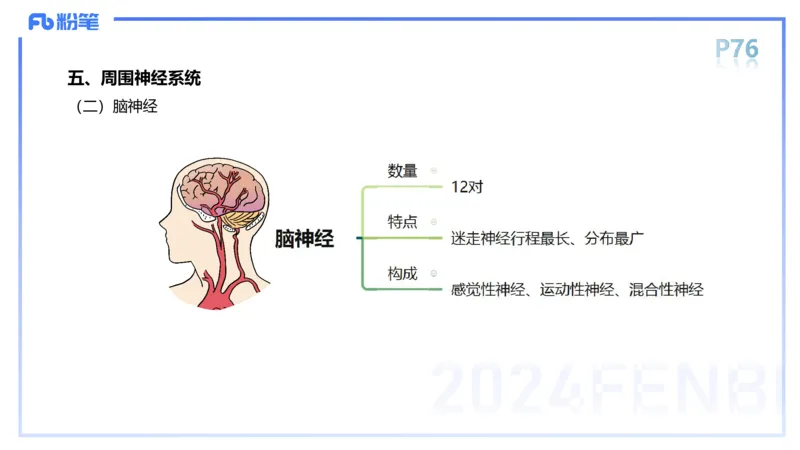 1.19-理论精讲-运动解剖学5-王传世+_4-教培资料-26年最新资料-同步更新_科一科二电子资料合集中小幼（笔记真题知识点汇总等）文件多，按需保存_各机构笔记合集（中小幼）推荐