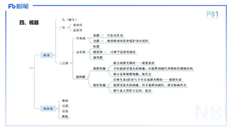 1.19-理论精讲-运动解剖学5-王传世+_4-教培资料-26年最新资料-同步更新_科一科二电子资料合集中小幼（笔记真题知识点汇总等）文件多，按需保存_各机构笔记合集（中小幼）推荐