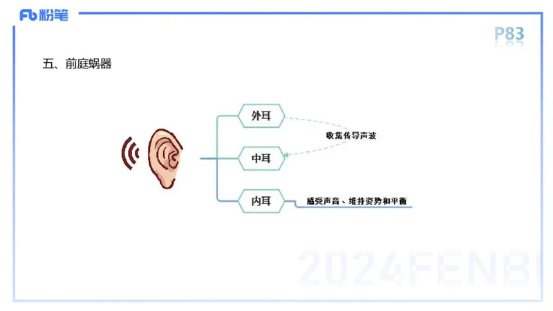1.19-理论精讲-运动解剖学5-王传世+_4-教培资料-26年最新资料-同步更新_科一科二电子资料合集中小幼（笔记真题知识点汇总等）文件多，按需保存_各机构笔记合集（中小幼）推荐