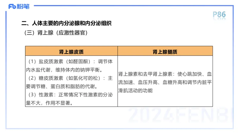 1.19-理论精讲-运动解剖学5-王传世+_4-教培资料-26年最新资料-同步更新_科一科二电子资料合集中小幼（笔记真题知识点汇总等）文件多，按需保存_各机构笔记合集（中小幼）推荐