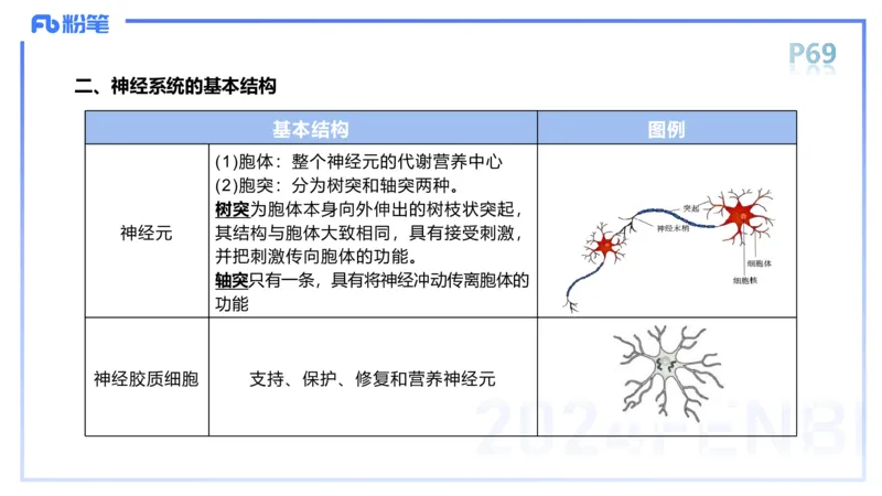 1.19-理论精讲-运动解剖学5-王传世+_4-教培资料-26年最新资料-同步更新_科一科二电子资料合集中小幼（笔记真题知识点汇总等）文件多，按需保存_各机构笔记合集（中小幼）推荐