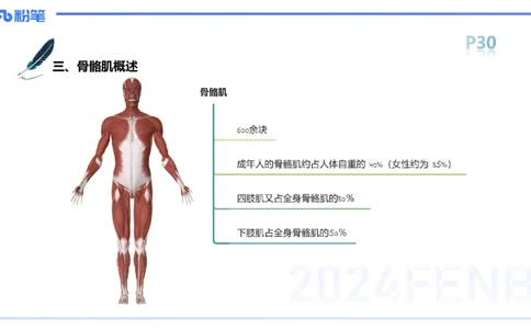 1.17-理论精讲-运动解剖学3-王传世+_4-教培资料-26年最新资料-同步更新_科一科二电子资料合集中小幼（笔记真题知识点汇总等）文件多，按需保存_各机构笔记合集（中小幼）推荐
