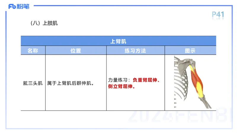 1.17-理论精讲-运动解剖学3-王传世+_4-教培资料-26年最新资料-同步更新_科一科二电子资料合集中小幼（笔记真题知识点汇总等）文件多，按需保存_各机构笔记合集（中小幼）推荐