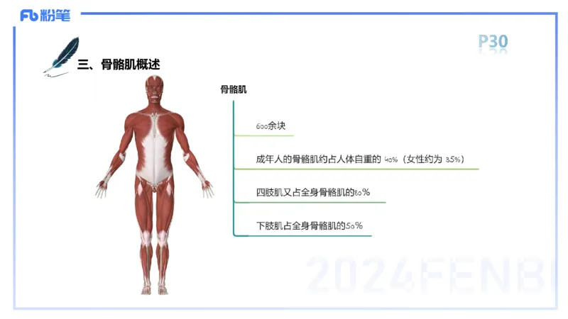 1.17-理论精讲-运动解剖学3-王传世+_4-教培资料-26年最新资料-同步更新_科一科二电子资料合集中小幼（笔记真题知识点汇总等）文件多，按需保存_各机构笔记合集（中小幼）推荐
