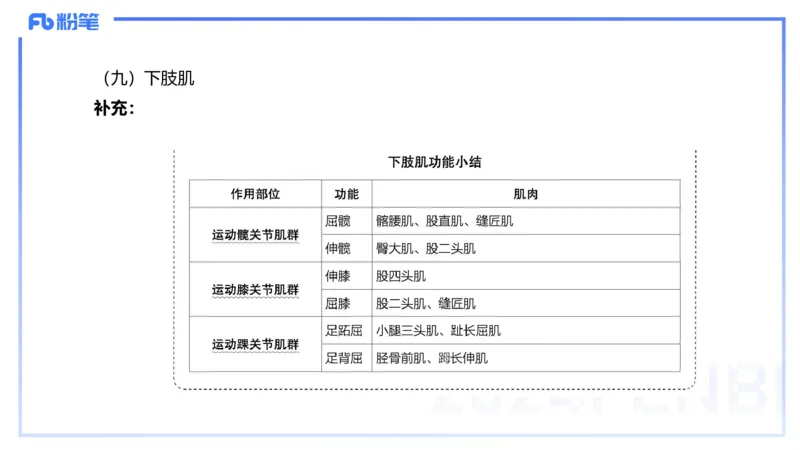 1.17-理论精讲-运动解剖学3-王传世+_4-教培资料-26年最新资料-同步更新_科一科二电子资料合集中小幼（笔记真题知识点汇总等）文件多，按需保存_各机构笔记合集（中小幼）推荐
