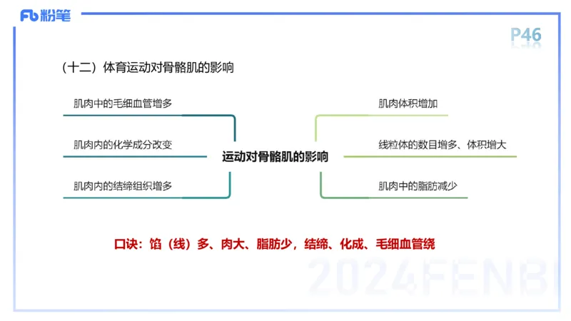 1.17-理论精讲-运动解剖学3-王传世+_4-教培资料-26年最新资料-同步更新_科一科二电子资料合集中小幼（笔记真题知识点汇总等）文件多，按需保存_各机构笔记合集（中小幼）推荐