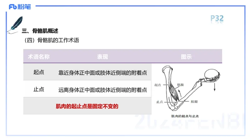 1.17-理论精讲-运动解剖学3-王传世+_4-教培资料-26年最新资料-同步更新_科一科二电子资料合集中小幼（笔记真题知识点汇总等）文件多，按需保存_各机构笔记合集（中小幼）推荐