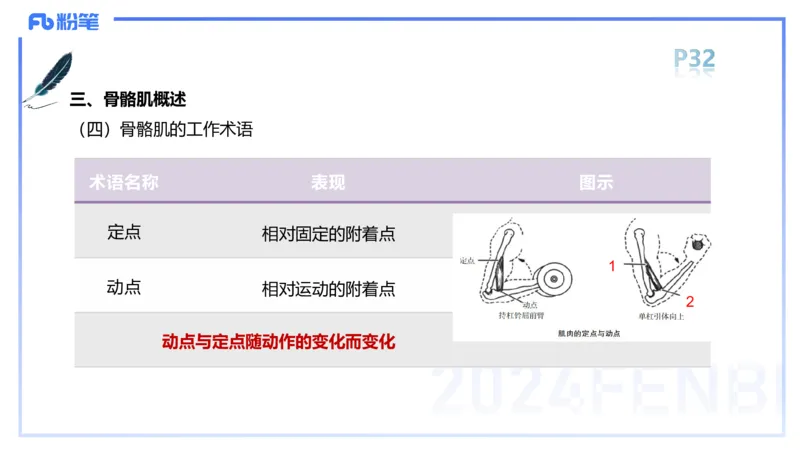 1.17-理论精讲-运动解剖学3-王传世+_4-教培资料-26年最新资料-同步更新_科一科二电子资料合集中小幼（笔记真题知识点汇总等）文件多，按需保存_各机构笔记合集（中小幼）推荐