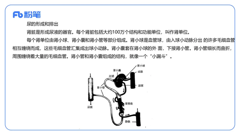 2023下-初中生物_4-教培资料-26年最新资料-同步更新_初中高中教资_03科三专项（进去保存报考的学科即可）_01科目三FB网课、三色速记手册、知识点导图等推荐_初中_3.历年真题