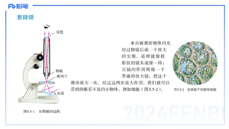 1.30晚-初中实验-余贞_4-教培资料-26年最新资料-同步更新_科一科二电子资料合集中小幼（笔记真题知识点汇总等）文件多，按需保存_各机构笔记合集（中小幼）推荐_01西米合集
