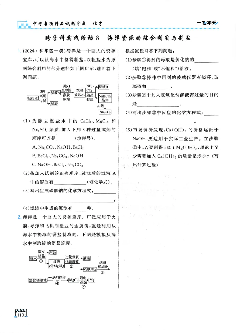 一飞冲天-中考专项精品试题分类-化学_《一飞冲天-中考专项》2026版_一飞冲天-中考专项（2026版）