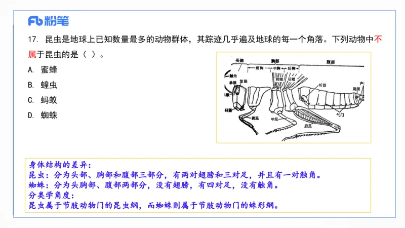 2025上真题-包展羽_4-教培资料-26年最新资料-同步更新_幼儿教资_012025下FB幼儿系统班_幼儿园25下-综合素质_3.历年真题_讲义