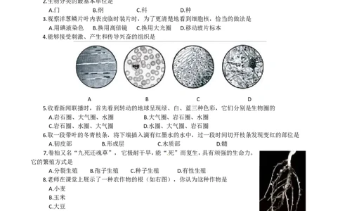 2012烟台市中考生物试题及答案(word版)_中考真题_8.生物中考真题2015-2024年_地区卷_山东省_烟台中考生物08-22