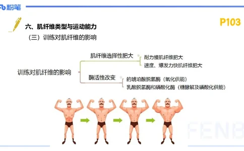 1.22-理论精讲-运动生理学2-王传世+_4-教培资料-26年最新资料-同步更新_科一科二电子资料合集中小幼（笔记真题知识点汇总等）文件多，按需保存_各机构笔记合集（中小幼）推荐