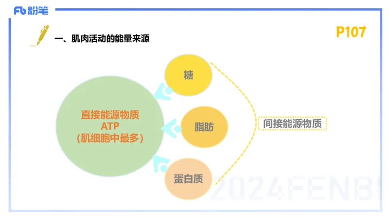 1.22-理论精讲-运动生理学2-王传世+_4-教培资料-26年最新资料-同步更新_科一科二电子资料合集中小幼（笔记真题知识点汇总等）文件多，按需保存_各机构笔记合集（中小幼）推荐