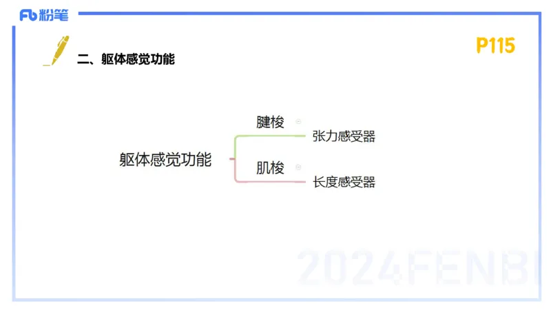 1.22-理论精讲-运动生理学2-王传世+_4-教培资料-26年最新资料-同步更新_科一科二电子资料合集中小幼（笔记真题知识点汇总等）文件多，按需保存_各机构笔记合集（中小幼）推荐