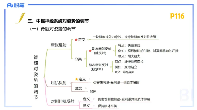 1.22-理论精讲-运动生理学2-王传世+_4-教培资料-26年最新资料-同步更新_科一科二电子资料合集中小幼（笔记真题知识点汇总等）文件多，按需保存_各机构笔记合集（中小幼）推荐