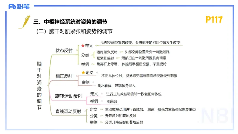 1.22-理论精讲-运动生理学2-王传世+_4-教培资料-26年最新资料-同步更新_科一科二电子资料合集中小幼（笔记真题知识点汇总等）文件多，按需保存_各机构笔记合集（中小幼）推荐