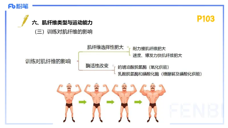 1.22-理论精讲-运动生理学2-王传世+_4-教培资料-26年最新资料-同步更新_科一科二电子资料合集中小幼（笔记真题知识点汇总等）文件多，按需保存_各机构笔记合集（中小幼）推荐