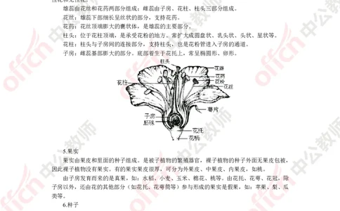 生物知识点汇编_教资_33教资笔试历年真题汇总（科一+科二+科三）_科三真题_02初中科三各科电子资料包合集_生物（资料文档）_初中生物_02科三知识汇总思维导图