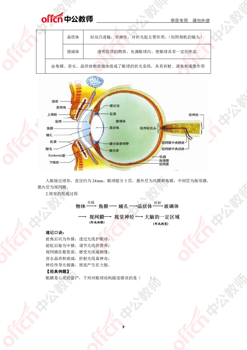 生物知识点汇编_教资_33教资笔试历年真题汇总（科一+科二+科三）_科三真题_02初中科三各科电子资料包合集_生物（资料文档）_初中生物_02科三知识汇总思维导图