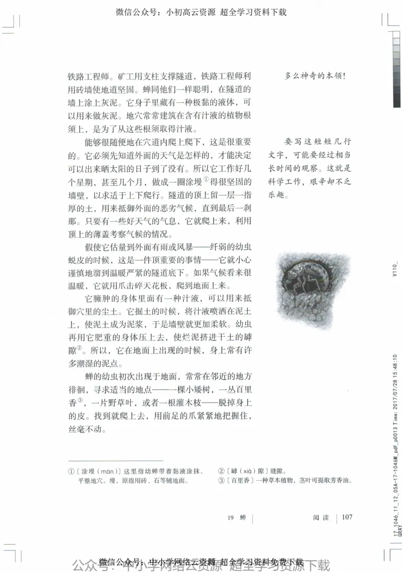 2018部编版初中语文8年级上_4-教培资料-26年最新资料-同步更新_科一科二电子资料合集中小幼（笔记真题知识点汇总等）文件多，按需保存_各机构笔记合集（中小幼）推荐_初中课本