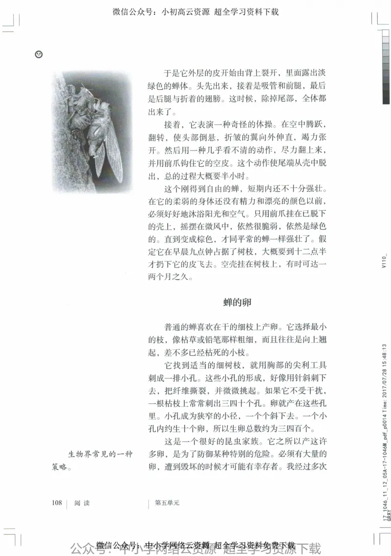 2018部编版初中语文8年级上_4-教培资料-26年最新资料-同步更新_科一科二电子资料合集中小幼（笔记真题知识点汇总等）文件多，按需保存_各机构笔记合集（中小幼）推荐_初中课本