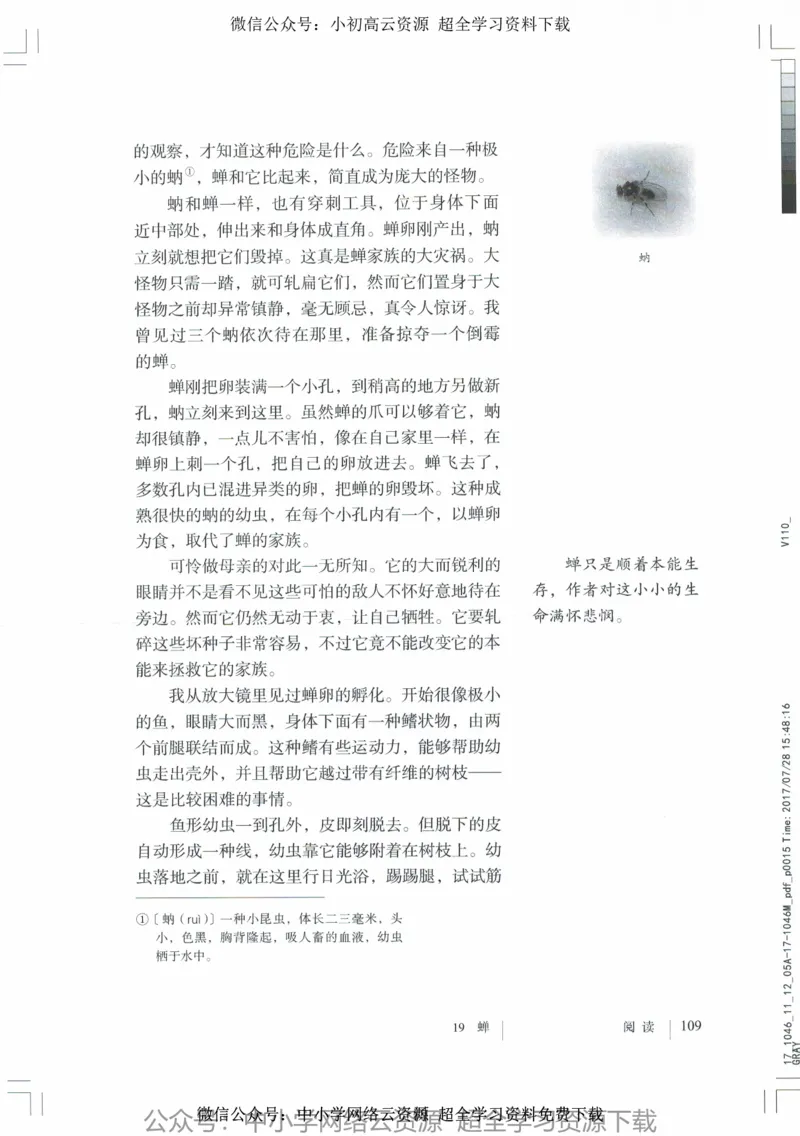 2018部编版初中语文8年级上_4-教培资料-26年最新资料-同步更新_科一科二电子资料合集中小幼（笔记真题知识点汇总等）文件多，按需保存_各机构笔记合集（中小幼）推荐_初中课本