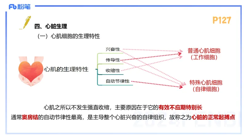1.23-理论精讲-运动生理学3-王传世+_4-教培资料-26年最新资料-同步更新_科一科二电子资料合集中小幼（笔记真题知识点汇总等）文件多，按需保存_各机构笔记合集（中小幼）推荐