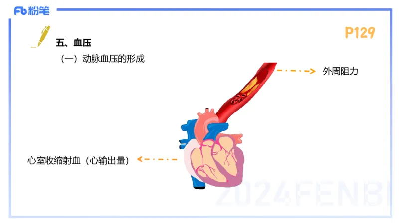 1.23-理论精讲-运动生理学3-王传世+_4-教培资料-26年最新资料-同步更新_科一科二电子资料合集中小幼（笔记真题知识点汇总等）文件多，按需保存_各机构笔记合集（中小幼）推荐