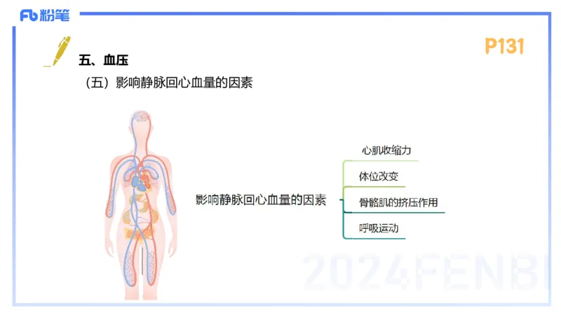 1.23-理论精讲-运动生理学3-王传世+_4-教培资料-26年最新资料-同步更新_科一科二电子资料合集中小幼（笔记真题知识点汇总等）文件多，按需保存_各机构笔记合集（中小幼）推荐