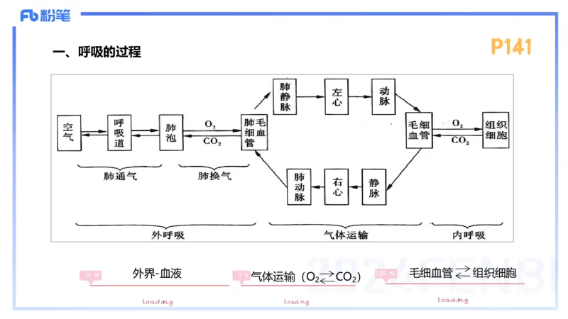 1.23-理论精讲-运动生理学3-王传世+_4-教培资料-26年最新资料-同步更新_科一科二电子资料合集中小幼（笔记真题知识点汇总等）文件多，按需保存_各机构笔记合集（中小幼）推荐