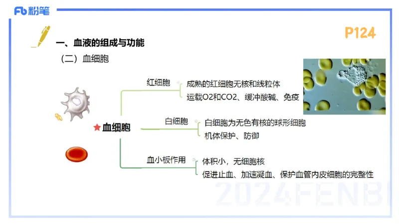 1.23-理论精讲-运动生理学3-王传世+_4-教培资料-26年最新资料-同步更新_科一科二电子资料合集中小幼（笔记真题知识点汇总等）文件多，按需保存_各机构笔记合集（中小幼）推荐