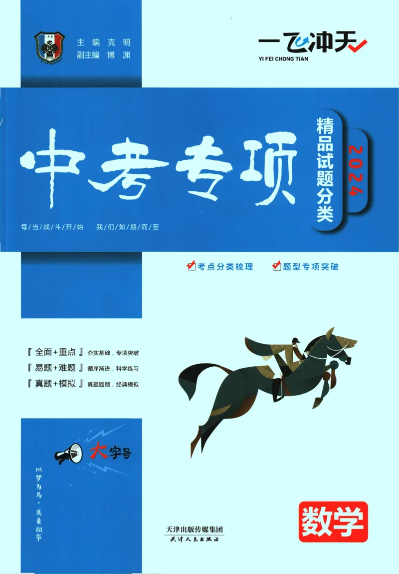 一飞冲天-中考专项精品试题分类-数学_《一飞冲天-中考专项》2026版_一飞冲天-中考专项精品试题分类（2024版）