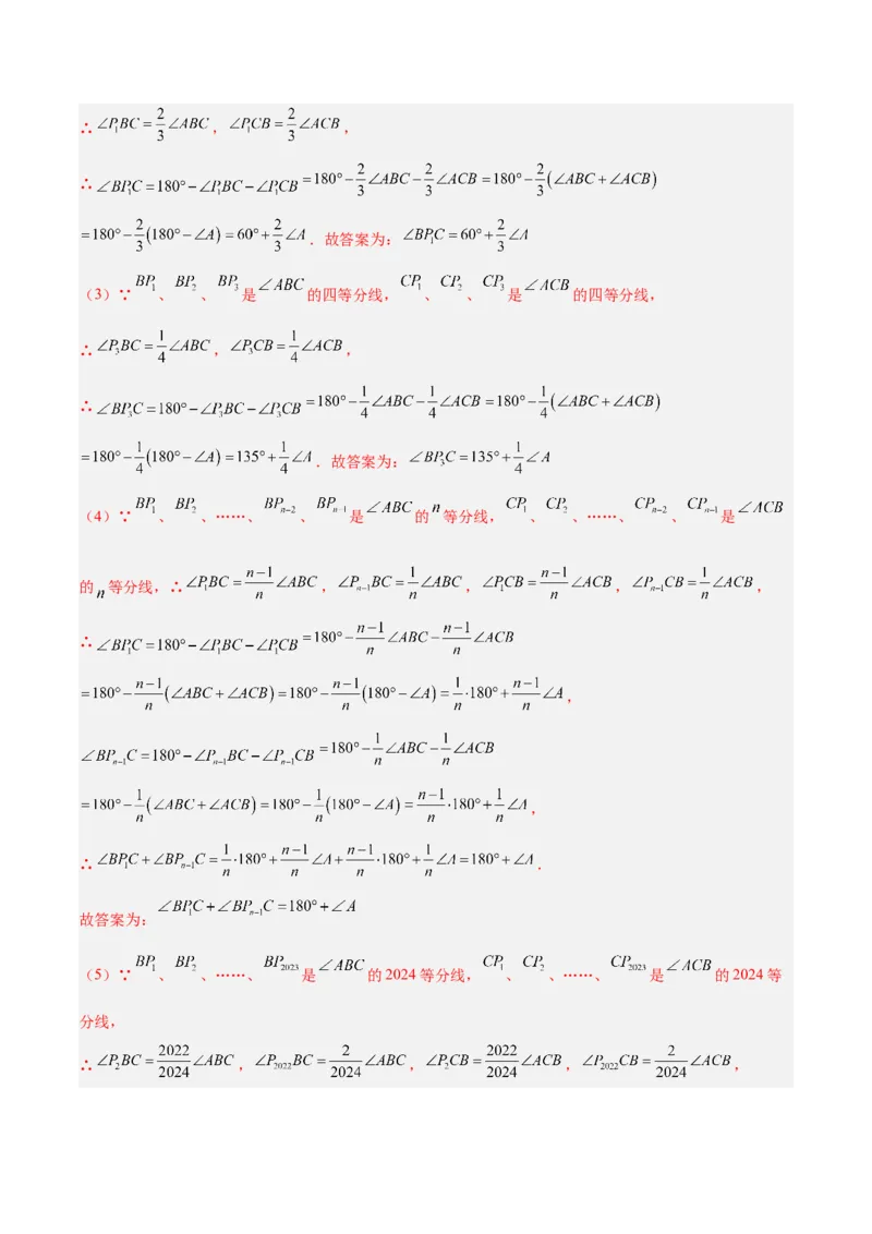 2025年中考数学几何模型综合训练（通用版）专题05三角形中的倒角模型之双角平分线（三角形）模型解读与提分精练（教师版）_2数学总复习_2025中考复习资料