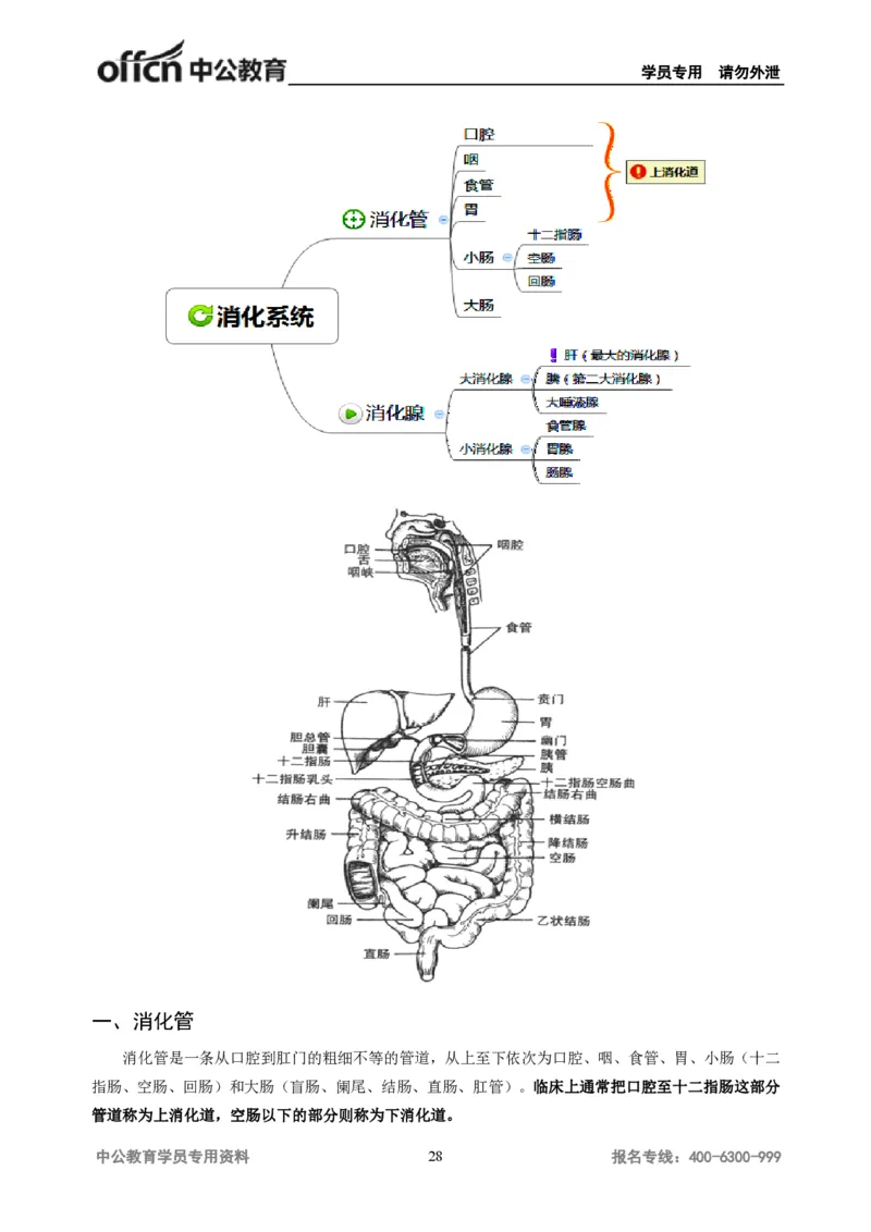 学科知识与教学能力-初中体育讲义295页_教资_33教资笔试历年真题汇总（科一+科二+科三）_科三真题_02初中科三各科电子资料包合集_体育（资料文档）_初中体育