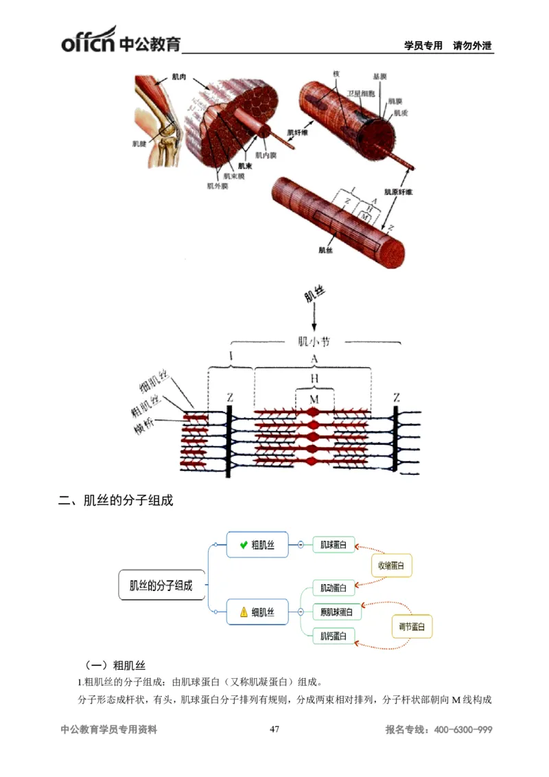 学科知识与教学能力-初中体育讲义295页_教资_33教资笔试历年真题汇总（科一+科二+科三）_科三真题_02初中科三各科电子资料包合集_体育（资料文档）_初中体育
