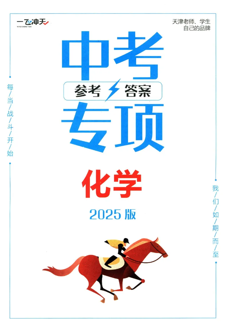 2025《一飞冲天-中考专项》化学答案_《一飞冲天-中考专项》2026版_一飞冲天-中考专项（2025版）