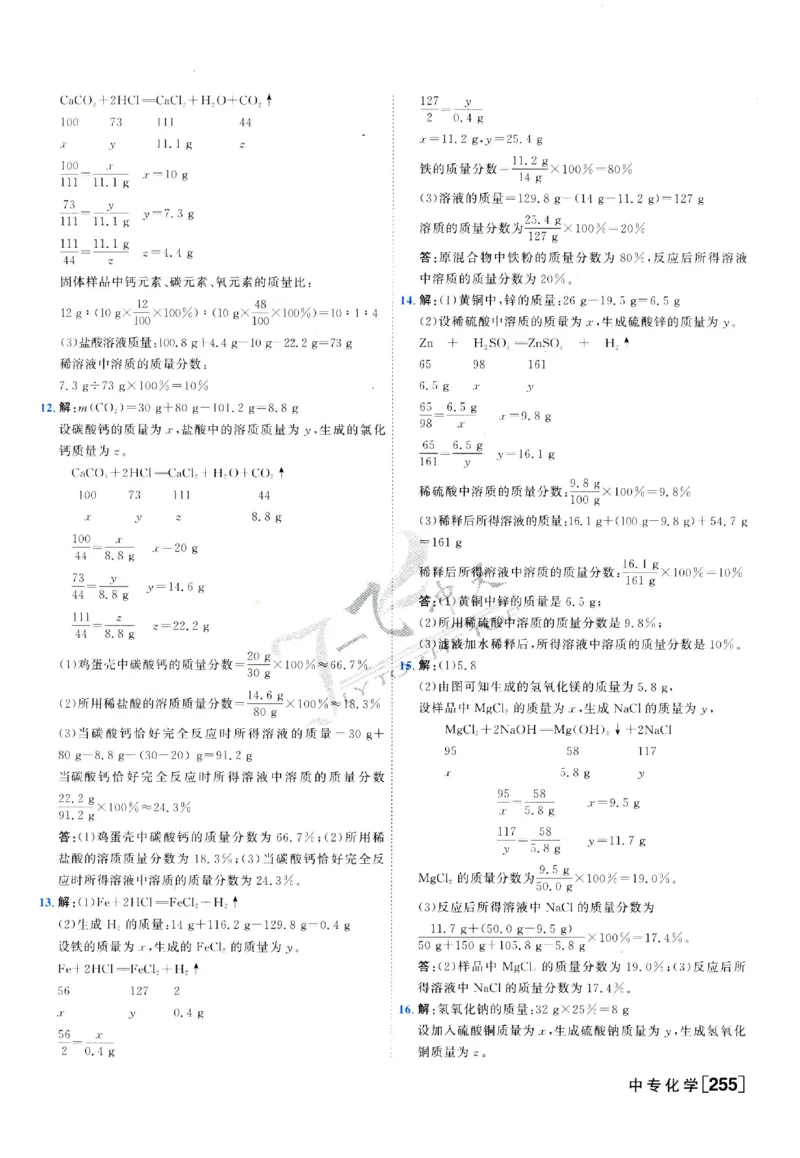 2025《一飞冲天-中考专项》化学答案_《一飞冲天-中考专项》2026版_一飞冲天-中考专项（2025版）