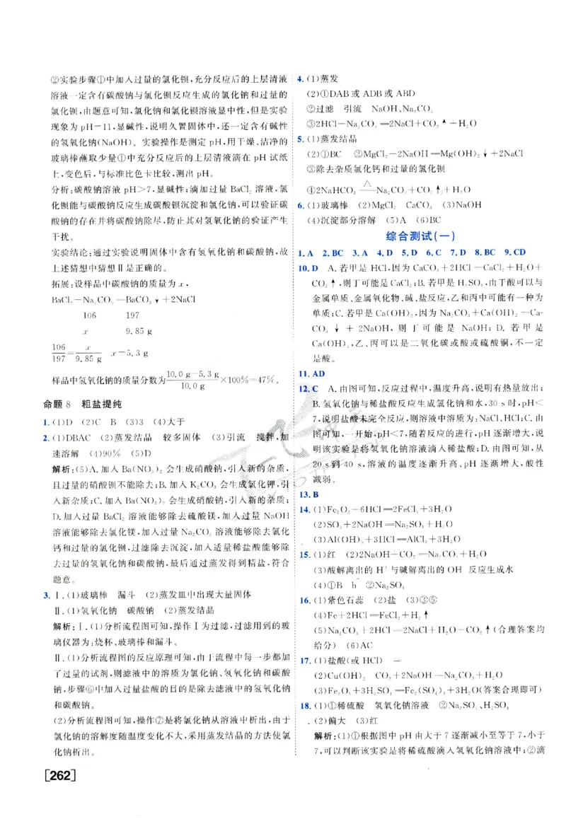2025《一飞冲天-中考专项》化学答案_《一飞冲天-中考专项》2026版_一飞冲天-中考专项（2025版）