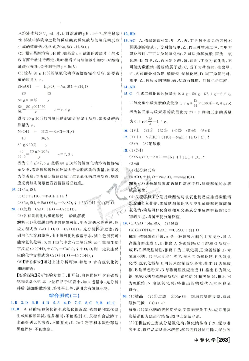 2025《一飞冲天-中考专项》化学答案_《一飞冲天-中考专项》2026版_一飞冲天-中考专项（2025版）