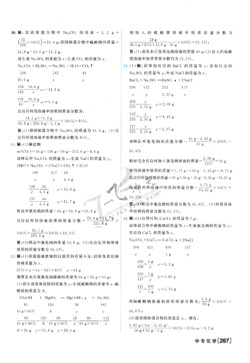 2025《一飞冲天-中考专项》化学答案_《一飞冲天-中考专项》2026版_一飞冲天-中考专项（2025版）