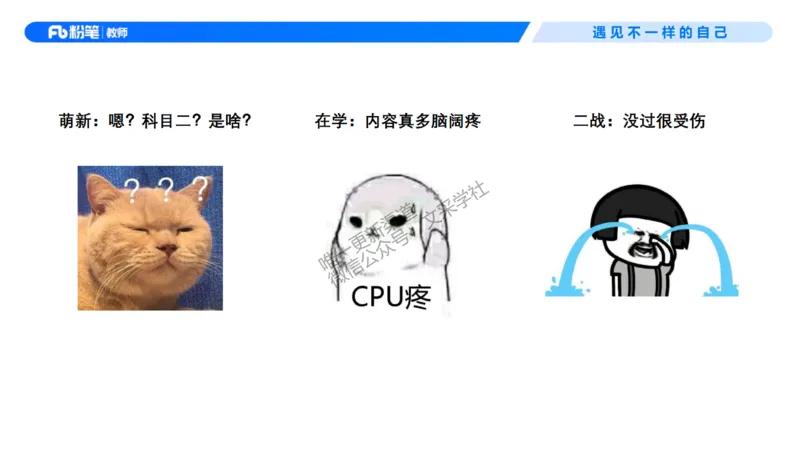 小学科目二考情介绍及复习指导-慕婉心(1)_教资_F家2026上教资笔试系统班_26上FB小学教资笔试（更新中）_26上小学-教育知识与能力（更新中）_00考情分析