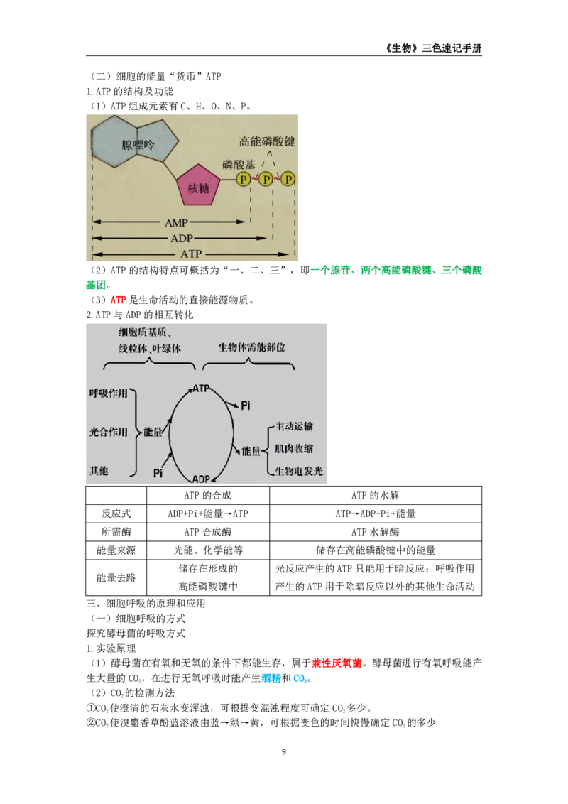 教师资格《（初中）生物》三色速记手册_教资_33教资笔试历年真题汇总（科一+科二+科三）_科三真题_02初中科三各科电子资料包合集_生物（资料文档）